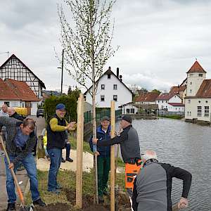 Tag des Baumes 2025