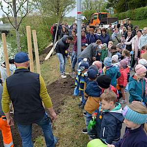 Tag des Baumes 2025