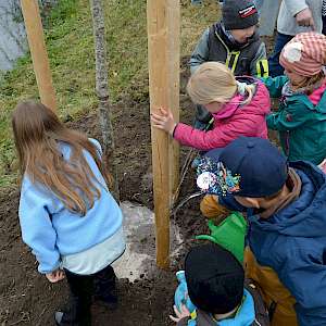 Tag des Baumes 2025